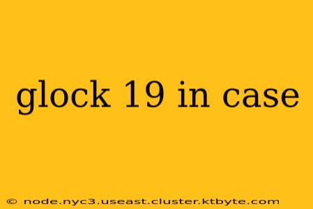 glock 19 in case