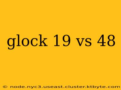 glock 19 vs 48