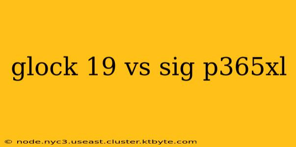 glock 19 vs sig p365xl