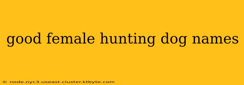 good female hunting dog names