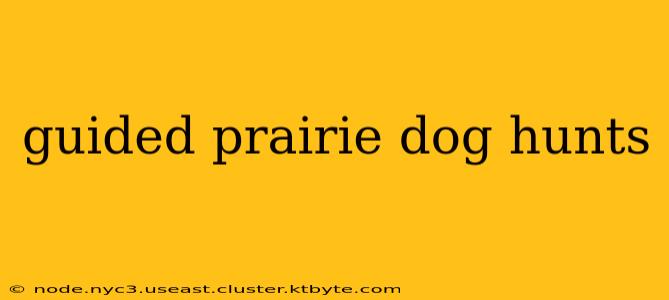 guided prairie dog hunts