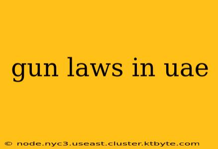 gun laws in uae