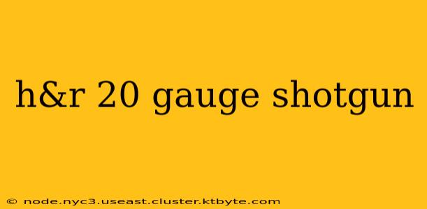 h&r 20 gauge shotgun