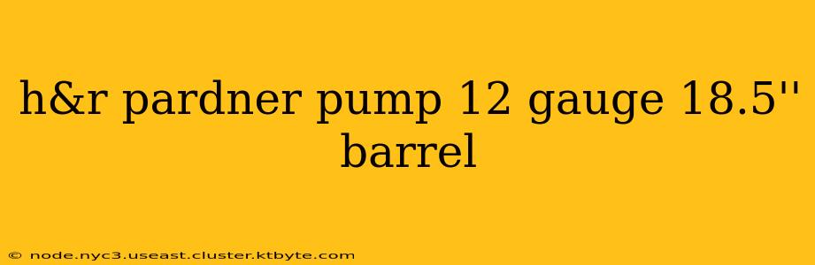 h&r pardner pump 12 gauge 18.5'' barrel