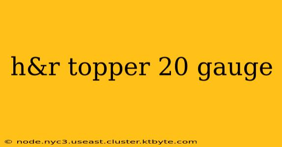 h&r topper 20 gauge