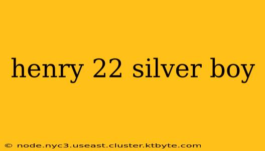 henry 22 silver boy