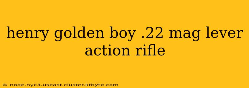 henry golden boy .22 mag lever action rifle