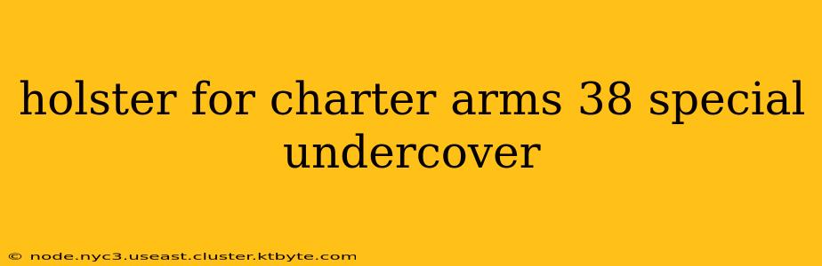 holster for charter arms 38 special undercover