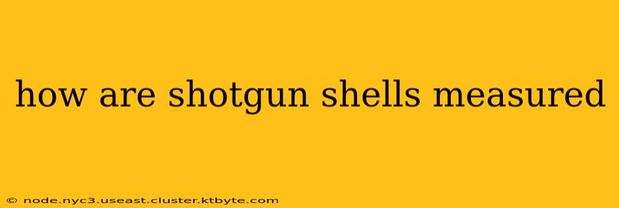 how are shotgun shells measured