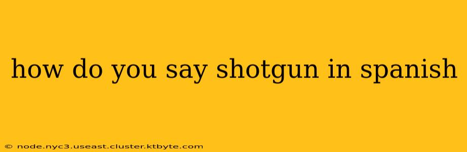 how do you say shotgun in spanish