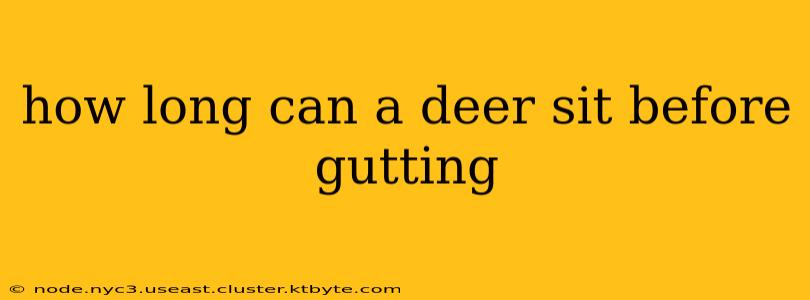 how long can a deer sit before gutting