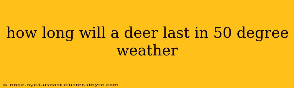 how long will a deer last in 50 degree weather