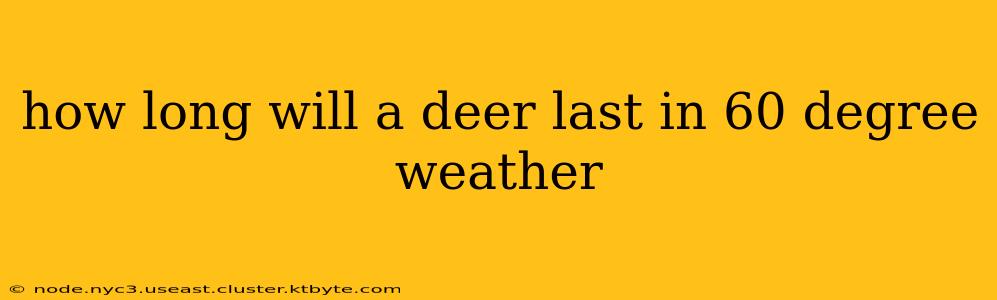 how long will a deer last in 60 degree weather