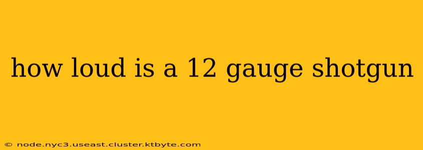 how loud is a 12 gauge shotgun