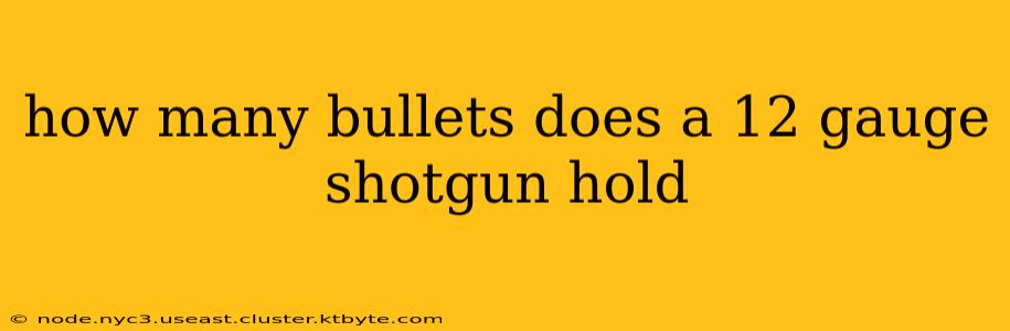 how many bullets does a 12 gauge shotgun hold