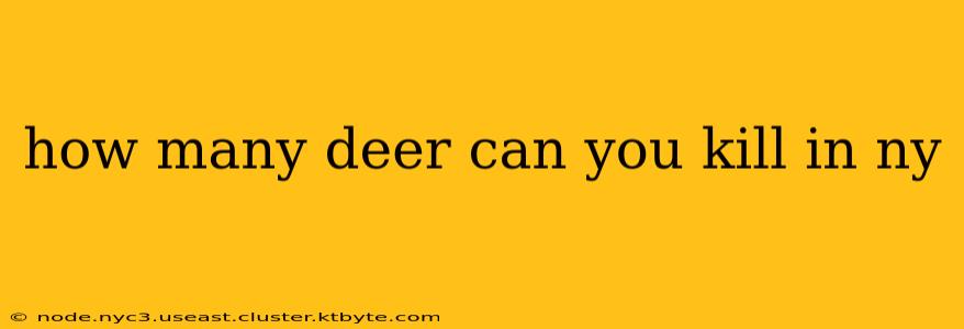 how many deer can you kill in ny