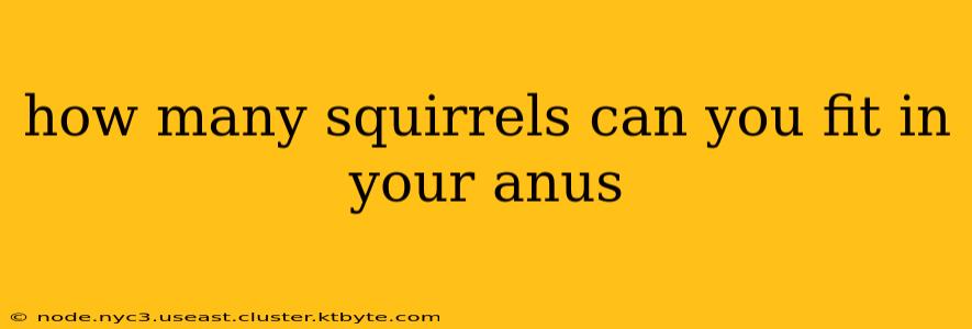 how many squirrels can you fit in your anus