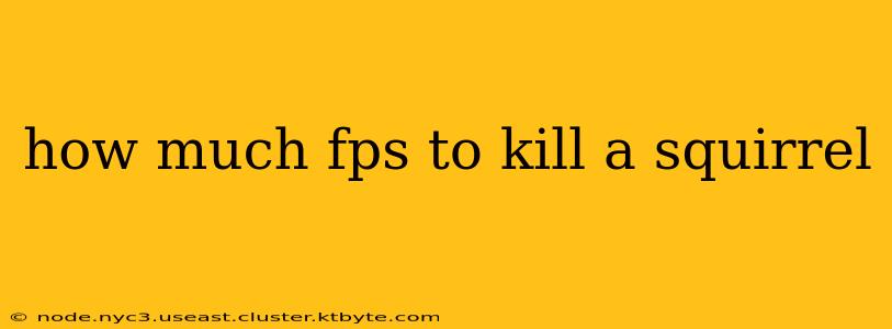 how much fps to kill a squirrel