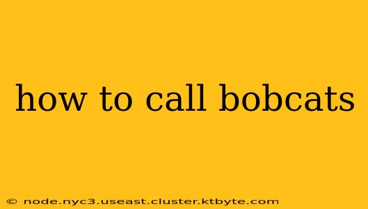 how to call bobcats