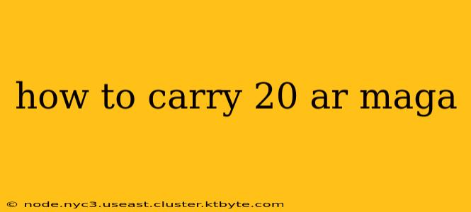 how to carry 20 ar maga