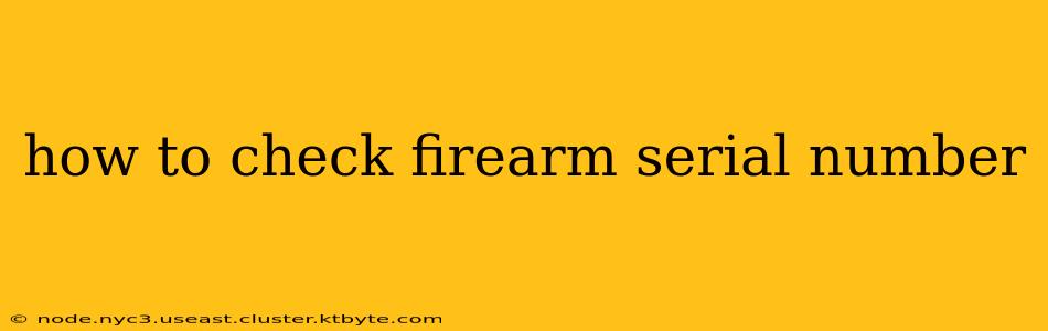 how to check firearm serial number