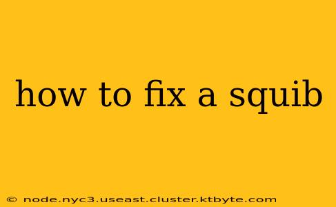 how to fix a squib