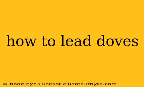 how to lead doves