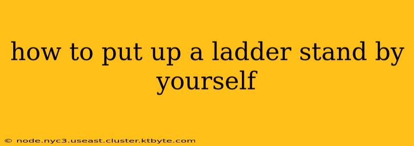 how to put up a ladder stand by yourself