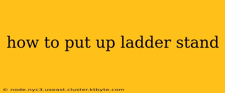 how to put up ladder stand