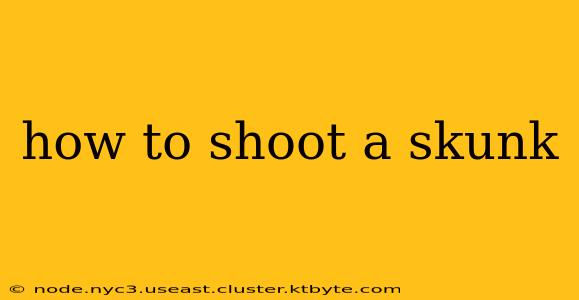 how to shoot a skunk