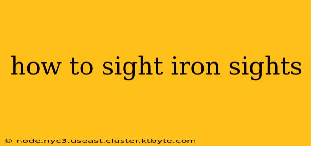 how to sight iron sights