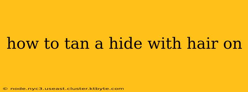 how to tan a hide with hair on