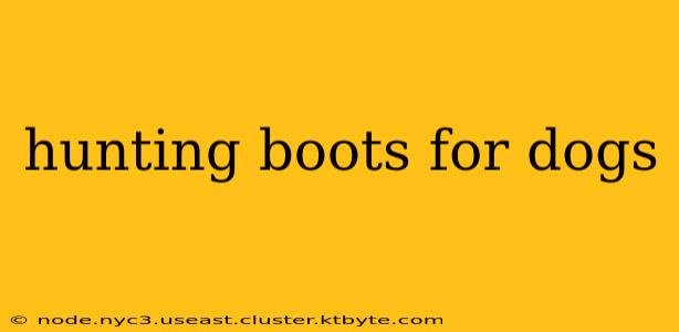 hunting boots for dogs