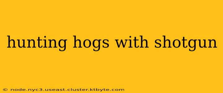 hunting hogs with shotgun