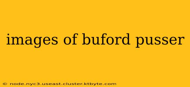 images of buford pusser