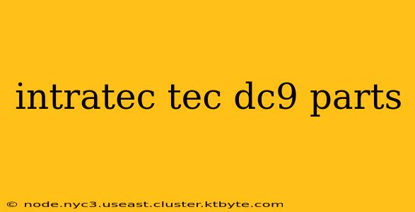 intratec tec dc9 parts