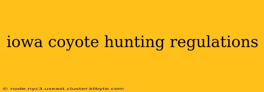 iowa coyote hunting regulations