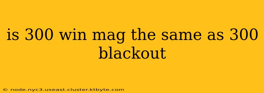 is 300 win mag the same as 300 blackout