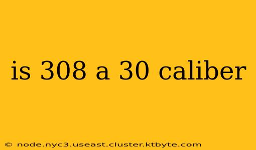 is 308 a 30 caliber