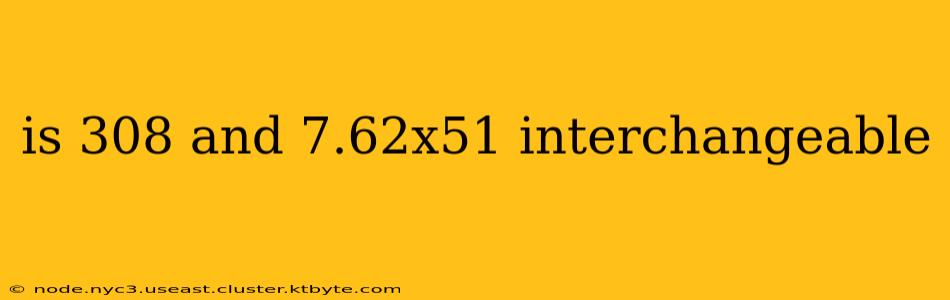 is 308 and 7.62x51 interchangeable