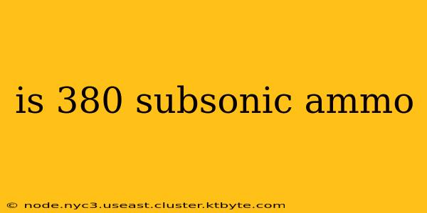 is 380 subsonic ammo