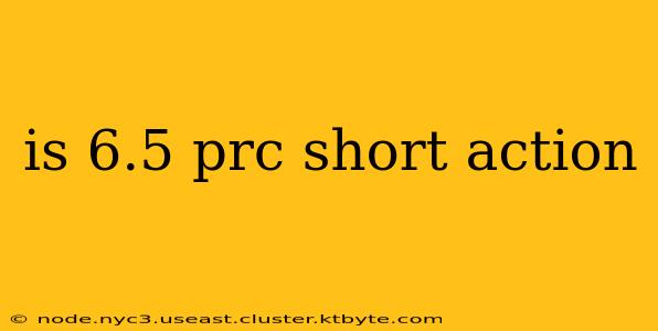 is 6.5 prc short action