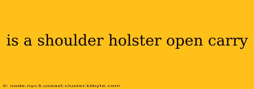 is a shoulder holster open carry