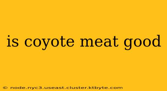 is coyote meat good