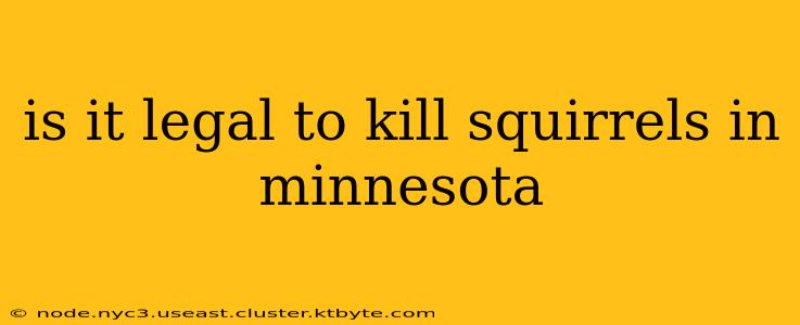 is it legal to kill squirrels in minnesota