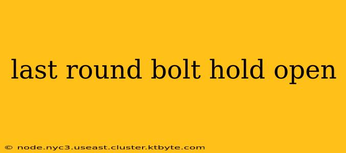 last round bolt hold open