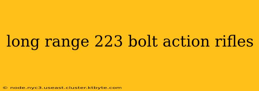 long range 223 bolt action rifles