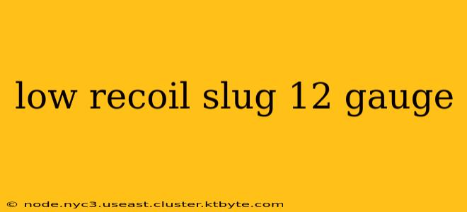 low recoil slug 12 gauge