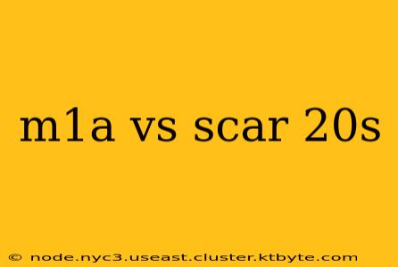 m1a vs scar 20s