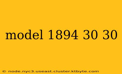 model 1894 30 30